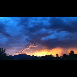 Meet your Posher, Shania